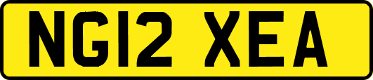NG12XEA