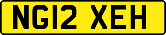 NG12XEH
