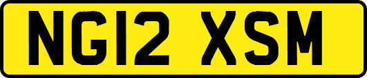 NG12XSM