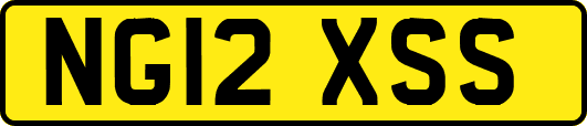 NG12XSS