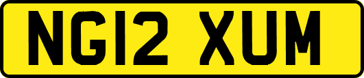 NG12XUM