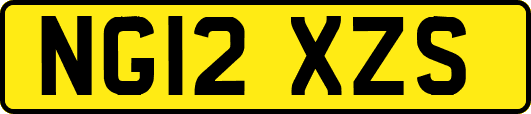 NG12XZS