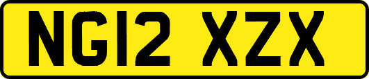 NG12XZX