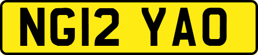 NG12YAO