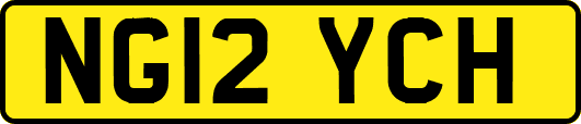 NG12YCH