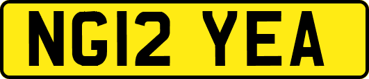 NG12YEA
