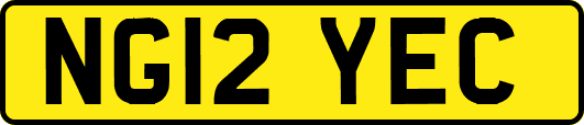 NG12YEC