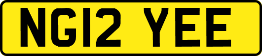 NG12YEE
