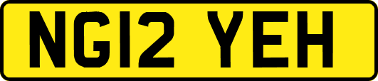 NG12YEH