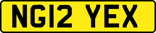 NG12YEX