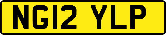NG12YLP