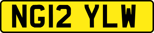 NG12YLW