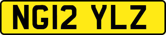 NG12YLZ