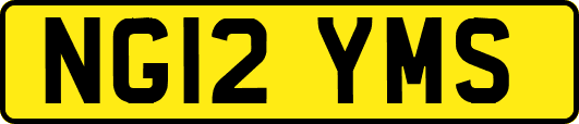 NG12YMS
