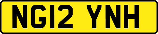 NG12YNH