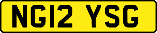 NG12YSG