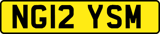 NG12YSM