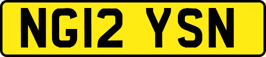 NG12YSN