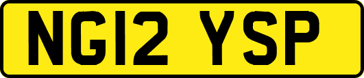 NG12YSP