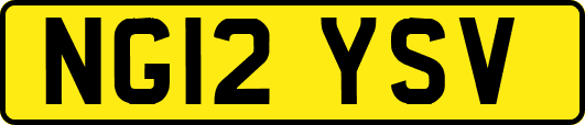 NG12YSV