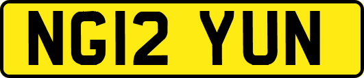 NG12YUN