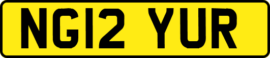 NG12YUR