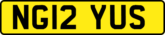 NG12YUS