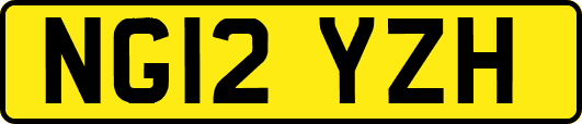 NG12YZH