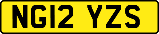 NG12YZS
