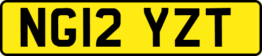NG12YZT