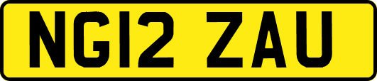 NG12ZAU