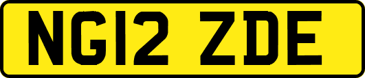 NG12ZDE