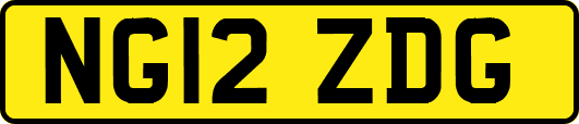 NG12ZDG