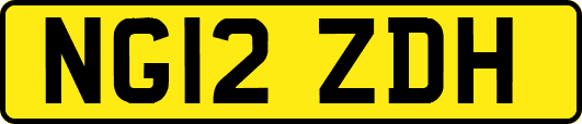 NG12ZDH