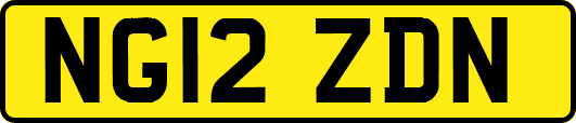 NG12ZDN