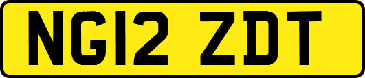 NG12ZDT