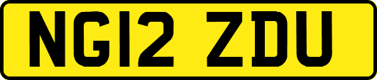 NG12ZDU