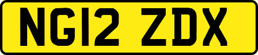 NG12ZDX