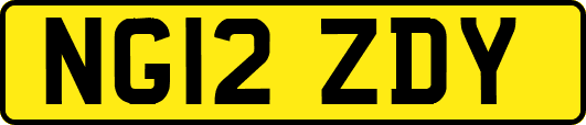 NG12ZDY