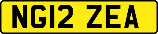 NG12ZEA