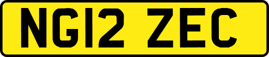 NG12ZEC