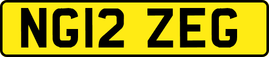 NG12ZEG