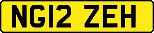 NG12ZEH