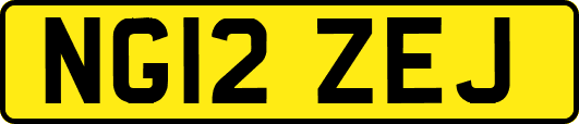NG12ZEJ