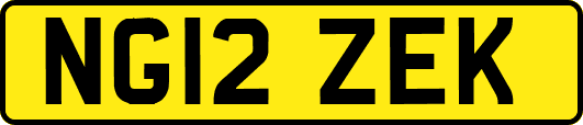 NG12ZEK