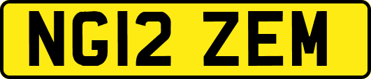 NG12ZEM