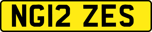 NG12ZES