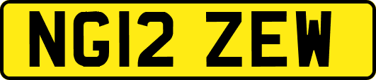 NG12ZEW