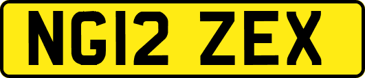 NG12ZEX