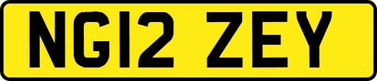 NG12ZEY
